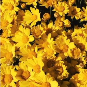 Meet your Posher, Kendall